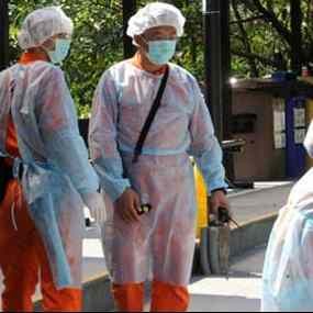 Ahli Dunia Kumpul di Meksiko Bahas Flu Babi