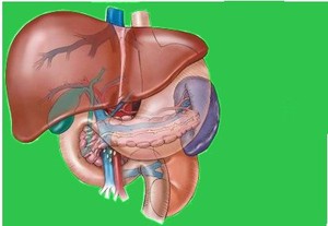Hepatoma (karsinoma hepatitis)