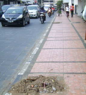 Puluhan Pohon di Braga Hilang