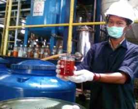 DMO dan Energi Alternatif Harus Jadi Prioritas Presiden Baru