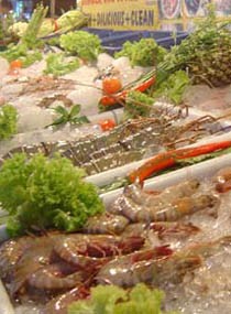 Marak Steven Jhonson Syndrome, Hindari Polusi & Fast Food