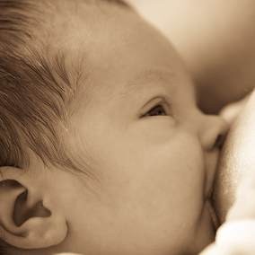 Inisiasi Menyusu Dini yang Menakjubkan