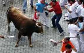 Seorang Pria Tewas Ditanduk Banteng dalam Sebuah Pesta