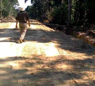 Pembuatan Jalan Hancurkan Hutan