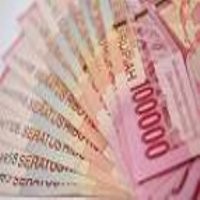Solusi Ekonomi Bagi Indonesia 