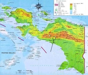 5 Polisi Terluka Saat Baku Tembak di Papua