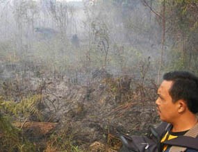  Kabut Asap di Riau Semakin Parah