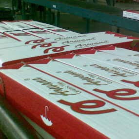 Safeguard Produk Keramik Diperpanjang Hingga 2011