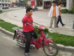 Biker Kendarai Sepeda Motor Tanpa Kedua Tangan