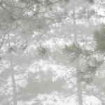 Dikepung Asap, Bandara Pekanbaru Ditutup