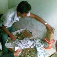 Polda Jabar Gulung 4 Pengedar Ganja dan Sabu