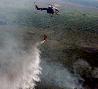 Pemadaman Kebakaran Hutan di Riau