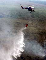 338 Titik Api di Sumsel