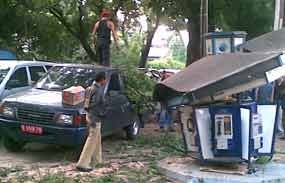 Pohon Patah di Bulungan Timpa Pedagang Pakaian