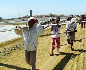 Ratusan Warga Sumenep Kuasai Lahan Penggaraman