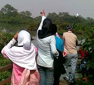 Menikmati Ekosistem Bakau di Jakarta