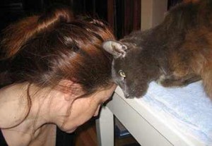 300 Juta Orang Terkena Toxoplasmiosis
