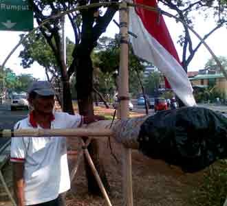 Pedagang Pohon Pinang Panen Rezeki
