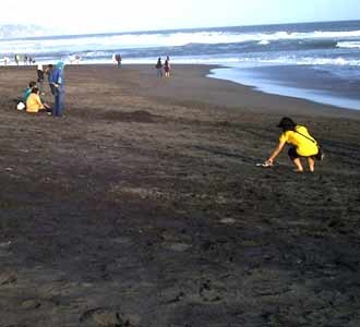 Menikmati Pantai Depok Yogyakarta