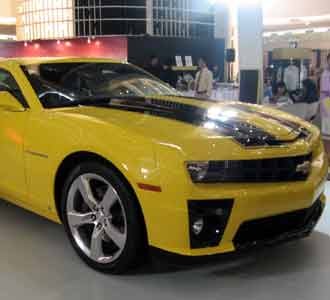 Bumblebee di Jakarta
