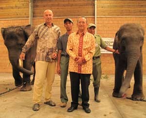 Diplomasi Gajah Sumatera ke Belgia