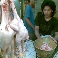 Waspadai Penjual Daging Tiren dan Gelonggongan Jelang Lebaran
