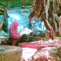 Pesat Intai Diam-diam Penjual Ayam Tiren dan Gelonggongan