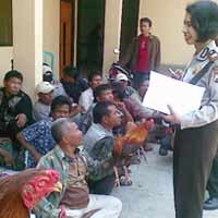 34 Orang Tertangkap Saat Sabung Ayam 