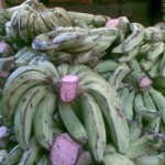 Harga Pisang Melambung, Pembeli Menurun