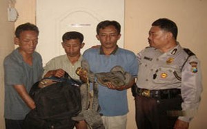 Komplotan Pencuri Sandal di Masjid Al Akbar Diringkus 