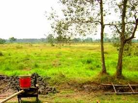 Warga Mariana Sumsel Gempar, Dayung Kapal Sriwijaya Muncul