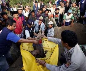 1 Jenazah Ditemukan, Korban Tewas Jadi 74