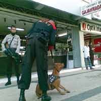 Antisipasi Pelaku Kejahatan, Polisi Kerahkan Anjing Pelacak 