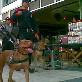 K9 Cegah Pelaku Kejahatan