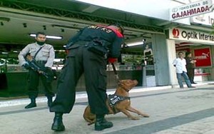 Antisipasi Tindak Kejahatan, Polisi Kerahkan Anjing Pelacak 