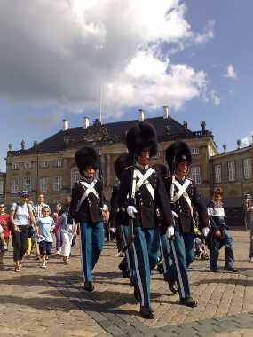 Aksi Pasukan Bertopi Bulu