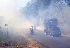 Awas..! Hutan di Jalur Ngawi-Solo Terbakar