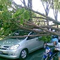Ringsek, Pemilik Mobil Terlihat Shock