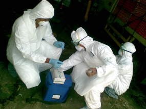 Cegah Flu Burung, Pemudik Dibagikan Antiseptik Gratis