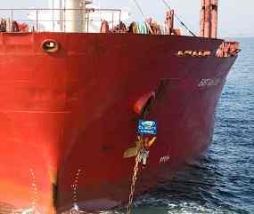 Aktivis Greenpeace Cegat Kapal Pengangkut Sawit dari Indonesia