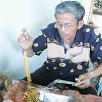 Lebaran Kemilau, Penyepuh Emas Banjir Order