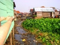 Sungai Saudagar Kocing, Jejak Muslim Tionghoa di Palembang