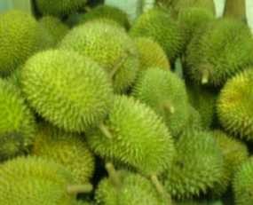 Durian Termasuk Makanan Teraneh Sedunia