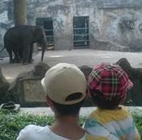 Antisipasi Macet, Mobil dan Motor Diizinkan Masuk Ragunan 