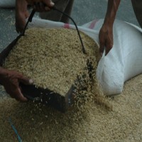 Beras dan Gula Akan Jadi Prioritas Pengamanan Dampak El Nino