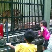 Meski Padat, Kebun Binatang Bandung Aman