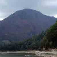 Hutan di Lereng Gunung Lawu Terbakar