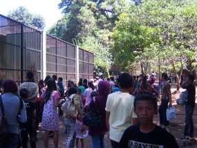 Lebaran 2009, Pengunjung Kebun Binatang Meningkat 20 Persen