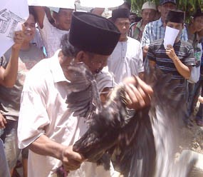 Kecewa Hakim, Warga Aksi Makan Ayam Hidup di Pengadilan