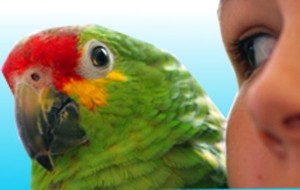 Psittacosis